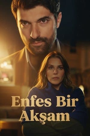 Enfes Bir Akşam Poster